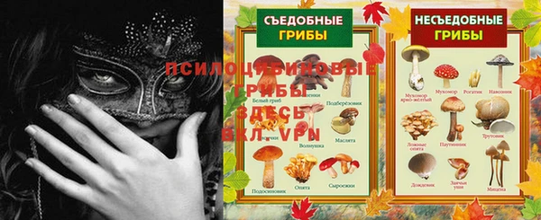 гидра Армянск
