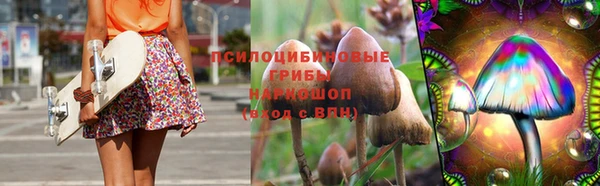 гидра Армянск