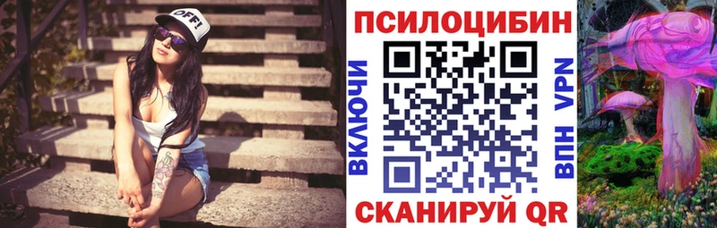 Псилоцибиновые грибы мицелий  купить наркотики цена  Узловая 
